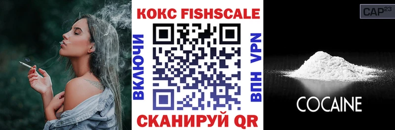 Cocaine Fish Scale  это какой сайт  Вытегра  kraken вход 